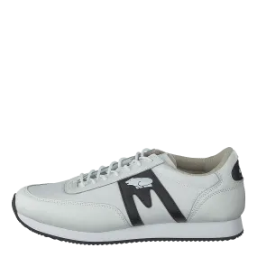 Albatross White - Black
