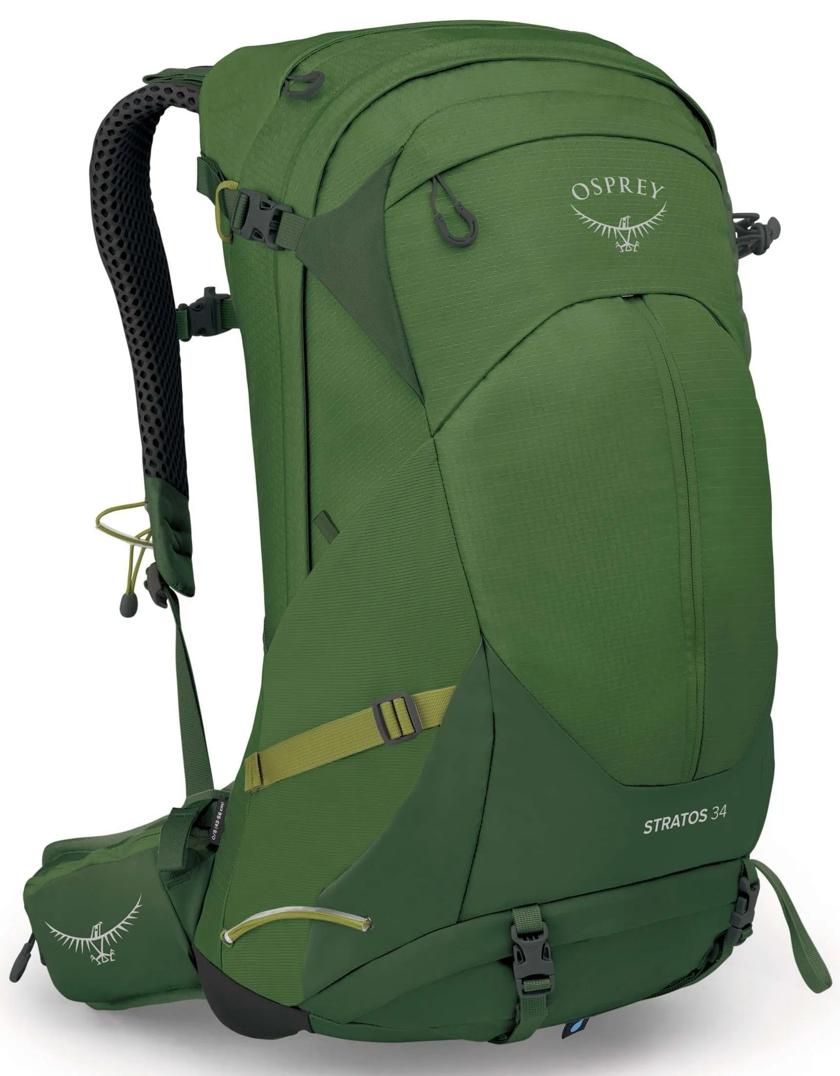 Stratos 34 Pack - Mens